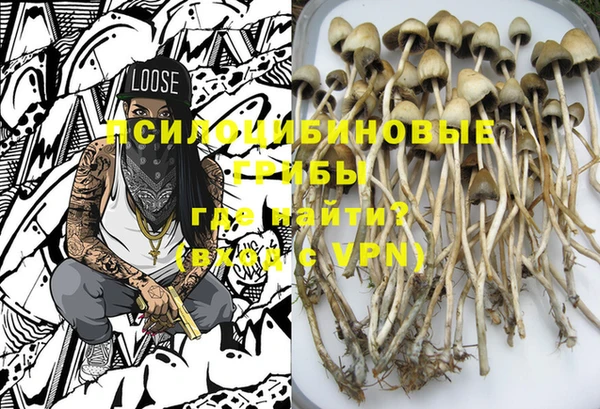 PSILOCYBIN Няндома