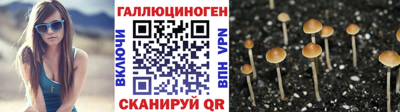 Галлюциногенные грибы Psilocybine cubensis  где можно купить   Пестово 